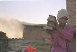 wpe1.jpg (4651 bytes)