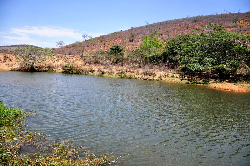 Foto do rio Pardo. Um rio de águas escura e margens com vegetação esparsa