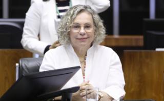 Homenagem aos 33 Anos do Estatuto da Criança e do Adolescente. Dep. Ana Paula Lima (PT - SC)