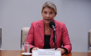 Seminário “Desafios e experiências de ampliação da licença-paternidade”. Embaixadora Da Suécia No Brasil, Parceira do GT Na Organização Deste Evento, Karin Wallensteen