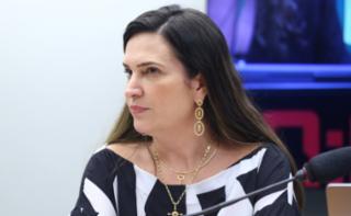 Audiência Pública - Medidas para suprimir o impacto ambiental causado pelos desastres de Mariana e Brumadinho. Representante - Defensoria Pública da União - DPU, Isabella Karen Araújo Simões