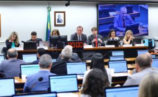 Audiência Pública - Medidas para suprimir o impacto ambiental causado pelos desastres de Mariana e Brumadinho