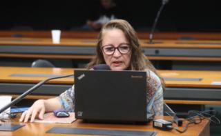Inclusão de gênero e raça no processo legislativo orçamentário. Assessora da Secretaria da Mulher e Coordenadora do GT - Secretaria da Mulher, Danielle Fermiano Gruneich.