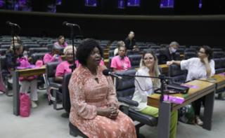 Homenagem à Campanha Internacional do Outubro Rosa.  Dep. Benedita da Silva (PT - RJ)