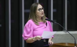 Homenagem à Campanha Internacional do Outubro Rosa. Dep. Professora Goreth (PDT - AP)