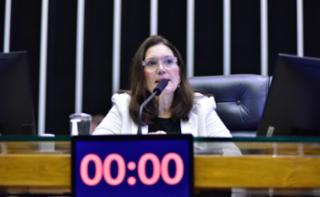 Homenagem ao Dia Nacional do Conselheiro Tutelar. Dep. Bia Kicis (PL - DF)