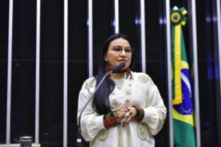 Homenagem ao Dia Nacional do Conselheiro Tutelar. Dep. Silvia Waiãpi
	(PL-AP)