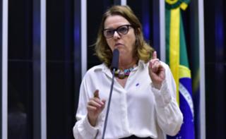 Homenagem à Campanha Mundial de 21 Dias de Ativismo pelo Fim da Violência Contra as Mulheres.	Secretária - Executiva do Ministério das Mulheres, Maria Helena.