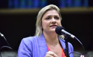 Discussão e votação de propostas. Dep. Professora Luciene Cavalcante (PSOL-SP)