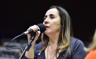 Discussão e votação de propostas. Dep. Adriana Ventura (NOVO - SP)