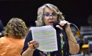 Discussão e votação de propostas. Dep. Erika Kokay
	(PT - DF)