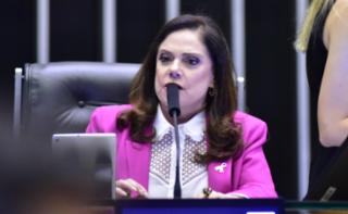 Discussão e votação de propostas. Dep. Soraya Santos (PL - RJ)