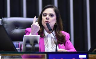 Discussão e votação de propostas. Dep. Soraya Santos (PL - RJ)