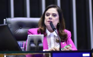 Discussão e votação de propostas. Dep. Soraya Santos (PL - RJ)