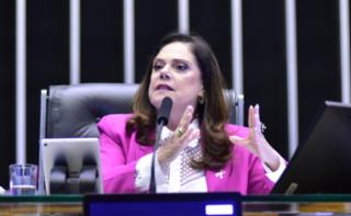 Discussão e votação de propostas. Dep. Soraya Santos (PL - RJ)