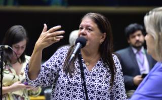 Discussão e votação de propostas. Dep. Laura Carneiro
	(PSD - RJ)