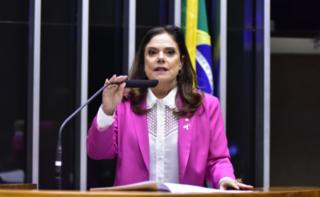 Discussão e votação de propostas. Dep. Soraya Santos
	(PL - RJ)