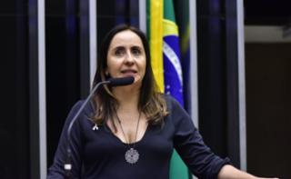Discussão e votação de propostas. Dep. Adriana Ventura
	(NOVO - SP)