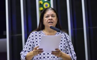 Discussão e votação de propostas. Dep. Laura Carneiro
	(PSD - RJ)