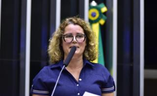 Discussão e votação de propostas. Dep. Nely Aquino
	(PODE - MG)