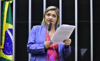 Discussão e votação de propostas. Dep. Professora Luciene
	Cavalcante
	(PSOL - SP)