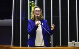 Discussão e votação de propostas. Dep. Maria do Rosário
	(PT - RS)