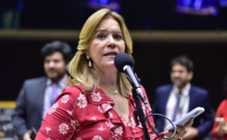 Discussão e votação de propostas. Dep. Lêda Borges
	(PSDB - GO)