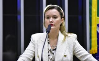 Discussão e votação de propostas. Dep. Julia Zanatta
	(PL - SC)