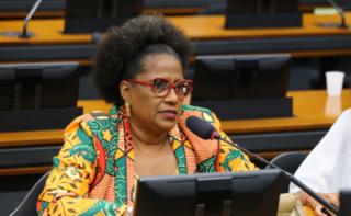 Reunião com representantes da Divisão de Gestão e Orçamento do Comitê de Governança Pública da Organização para a Cooperação e Desenvolvimento Econômico (OCDE). Dep. Reginete Bispo (PT - RS)