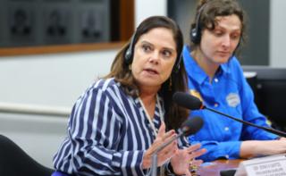 Reunião com representantes da Divisão de Gestão e Orçamento do Comitê de Governança Pública da Organização para a Cooperação e Desenvolvimento Econômico (OCDE). Dep. Soraya Santos (PL - RJ)