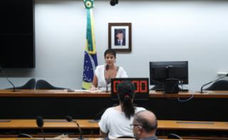 Painel - Mulheres na política e o financiamento público de campanhas eleitorais. Coordenadora de Pesquisas - Observatório Nacional da Mulher na Política, Ana Cláudia Oliveira