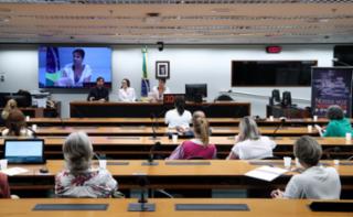 Painel - Mulheres na política e o financiamento público de campanhas eleitorais. Pesquisador - Sciences Po Paris, Felipe Lauritzen; Pesquisadora - Sciences Po Paris, Olivia Tsoutsoplidi; Coordenadora de Pesquisas - Observatório Nacional da Mulher na Política, Ana Cláudia Oliveira