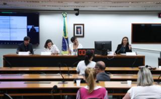 Painel - Mulheres na política e o financiamento público de campanhas eleitorais. Pesquisador - Sciences Po Paris, Felipe Lauritzen; Pesquisadora - Sciences Po Paris, Olivia Tsoutsoplidi; Coordenadora de Pesquisas - Observatório Nacional da Mulher na Política, Ana Cláudia Oliveira; Serviço de Ciência de Dados - Câmara dos Deputados, Thamara Ribeiro