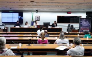 Painel - Mulheres na política e o financiamento público de campanhas eleitorais. Pesquisador - Sciences Po Paris, Felipe Lauritzen; Pesquisadora - Sciences Po Paris, Olivia Tsoutsoplidi; Coordenadora de Pesquisas - Observatório Nacional da Mulher na Política, Ana Cláudia Oliveira; Serviço de Ciência de Dados - Câmara dos Deputados, Thamara Ribeiro