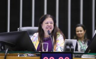 Homenagem ao dia Internacional da Mulher. Dep. Laura Carneiro (PSD-RJ)