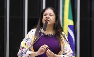 Homenagem ao dia Internacional da Mulher. Dep. Laura Carneiro (PSD-RJ)