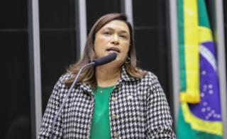 Homenagem ao dia Internacional da Mulher. Dep. Maria Rosas (REPUBLICANOS-SP)