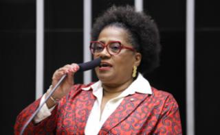 Homenagem ao dia Internacional da Mulher. Dep. Reginete Bispo (PT-RS)