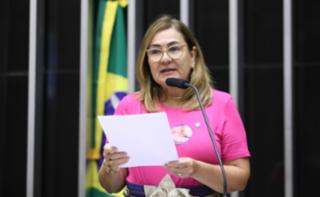 Homenagem ao dia Internacional da Mulher. Dep. Professora Goreth (PDT - AP)