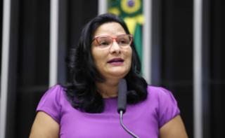 Homenagem ao dia Internacional da Mulher. Dep. Juliana Cardoso (PT-SP)