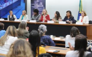 Seminário: Elas querem igualdade. Deputada Distrital, Dayse Amarilio. Vice-governadora do Distrito Federal, Celina Leão. Dep. Maria do Rosário (PT - RS). Dep. Benedita da Silva (PT - RJ). Dep. Soraya Santos (PL - RJ). Presidente Nacional do Grupo Mulheres do Brasil, Luiza Helena Trajano. Presidente do Grupo Mulheres do Brasil - Brasília. Janete Vaz.