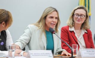 Seminário: Elas querem igualdade. Vice-governadora do Distrito Federal, Celina Leão. Dep. Maria do Rosário (PT - RS)