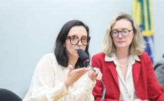 Seminário: Elas querem igualdade.  Dep. Ana Pimentel (PT - MG)