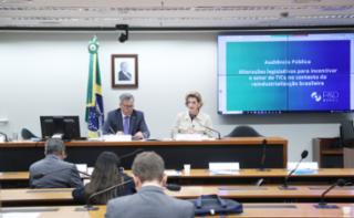 Audiência Pública - Reindustrialização brasileira, transição energética e descarbonização. Dep. Félix Mendonça Júnior (PDT - BA), Presidente -  P&AMP;D Brasil, Rosilda Prates.
