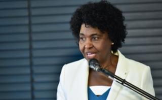 Aula Magna do Curso Orçamento Mulher. Dep. Benedita da Silva (PT - RJ)