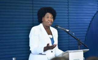 Aula Magna do Curso Orçamento Mulher. Dep. Benedita da Silva (PT - RJ)
