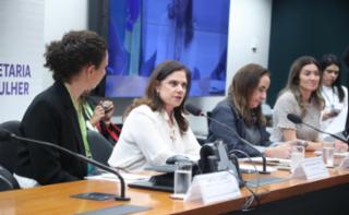 Fórum Brasileiro de Microempreendedorismo em Brasília - Aliança Empreendedora. Aliança Empreendedora. Presidente da Aliança Empreendedora, Cristina Filizzola.Aliança Empreendedora. Dep. Soraya Santos (PL - RJ).Aliança Empreendedora. Dep. Adriana Ventura (NOVO - SP).Dep. Greyce Elias (AVANTE-MG).