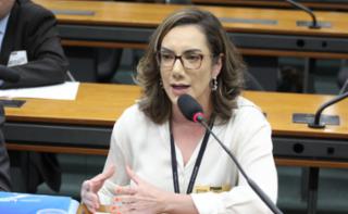 Audiência Pública - Modelos de Enfrentamento à Violência e aos Preconceitos na Escola. Delegada - Polícia Civil do Estado do Pará, Quésia Pereira Cabral