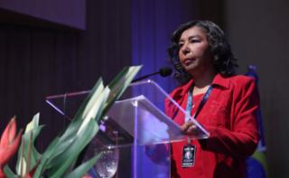 1ª Reunião de Mulheres Parlamentares. Servidora da Câmara dos Deputados, Regina Celi Alves