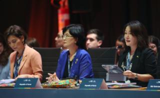 1ª Sessão de Trabalho - 1st Working Session - 1ª Sesión de trabajo. Representante da Coreia do Sul, Jaejung Lee